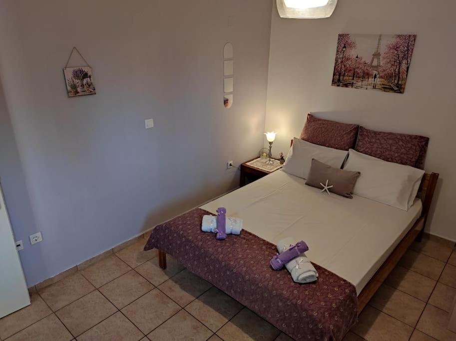 Petra House Villa Ngoại thất bức ảnh