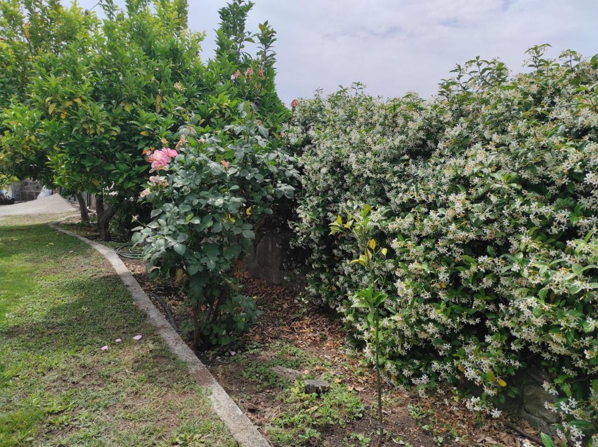 Petra House Villa Ngoại thất bức ảnh
